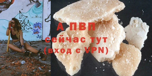 индика Заводоуковск