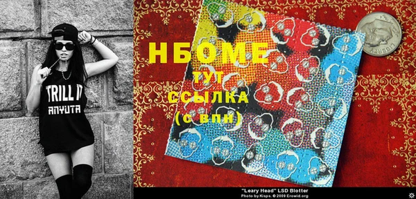 индика Заводоуковск