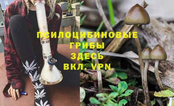 дурь Заволжье