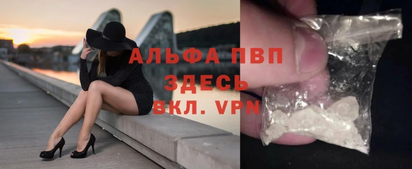 индика Заводоуковск