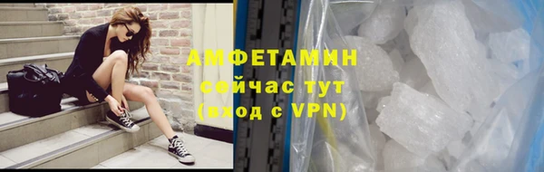 индика Заводоуковск