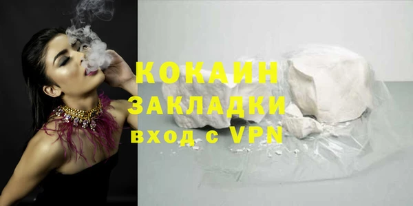 индика Заводоуковск