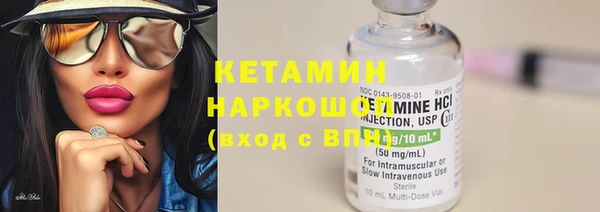 индика Заводоуковск
