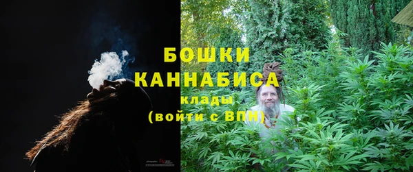 стаф Зеленодольск
