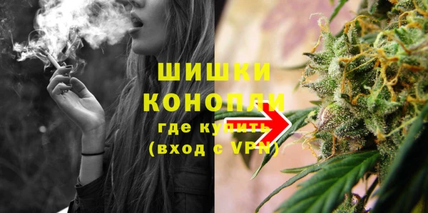 индика Заводоуковск