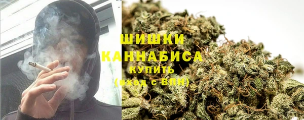 индика Заводоуковск