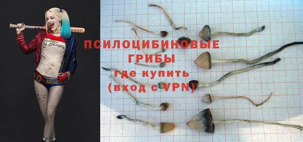 дурь Заволжье