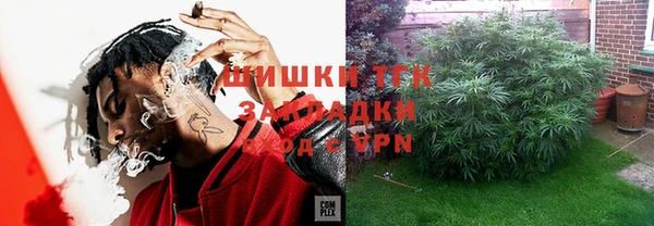 индика Заводоуковск