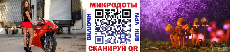 Галлюциногенные грибы Psilocybine cubensis  Каменск-Шахтинский 