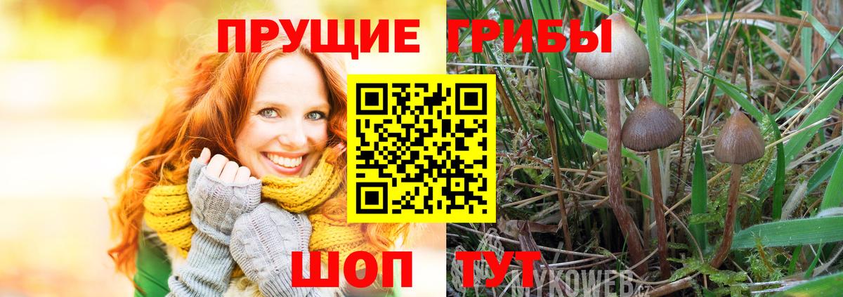 Псилоцибиновые грибы ЛСД Каменск-Шахтинский